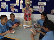 بالصور: تجارب البحث العلمي والاستكشاف في المدرسة الثانوية الشاملة بيافا